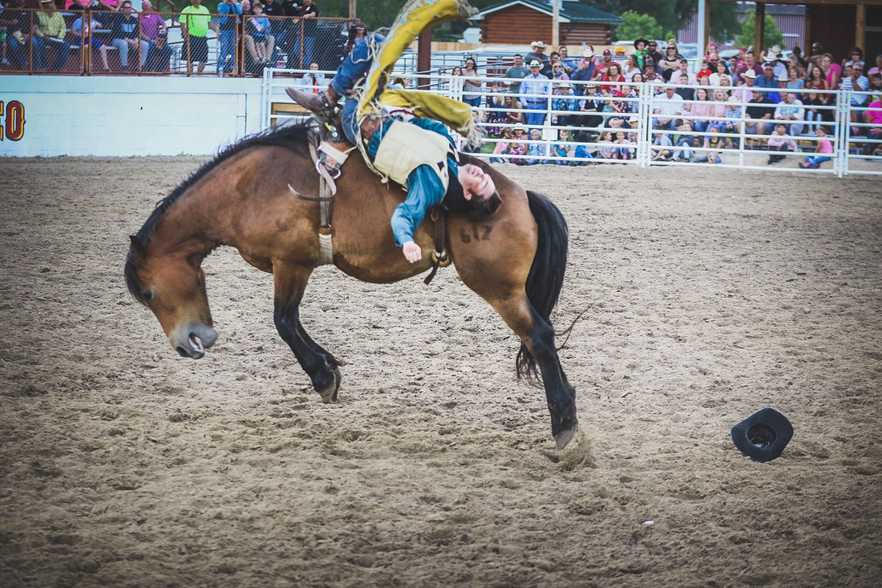 Buffalo Bill Rodeo Night 2 (39).jpg